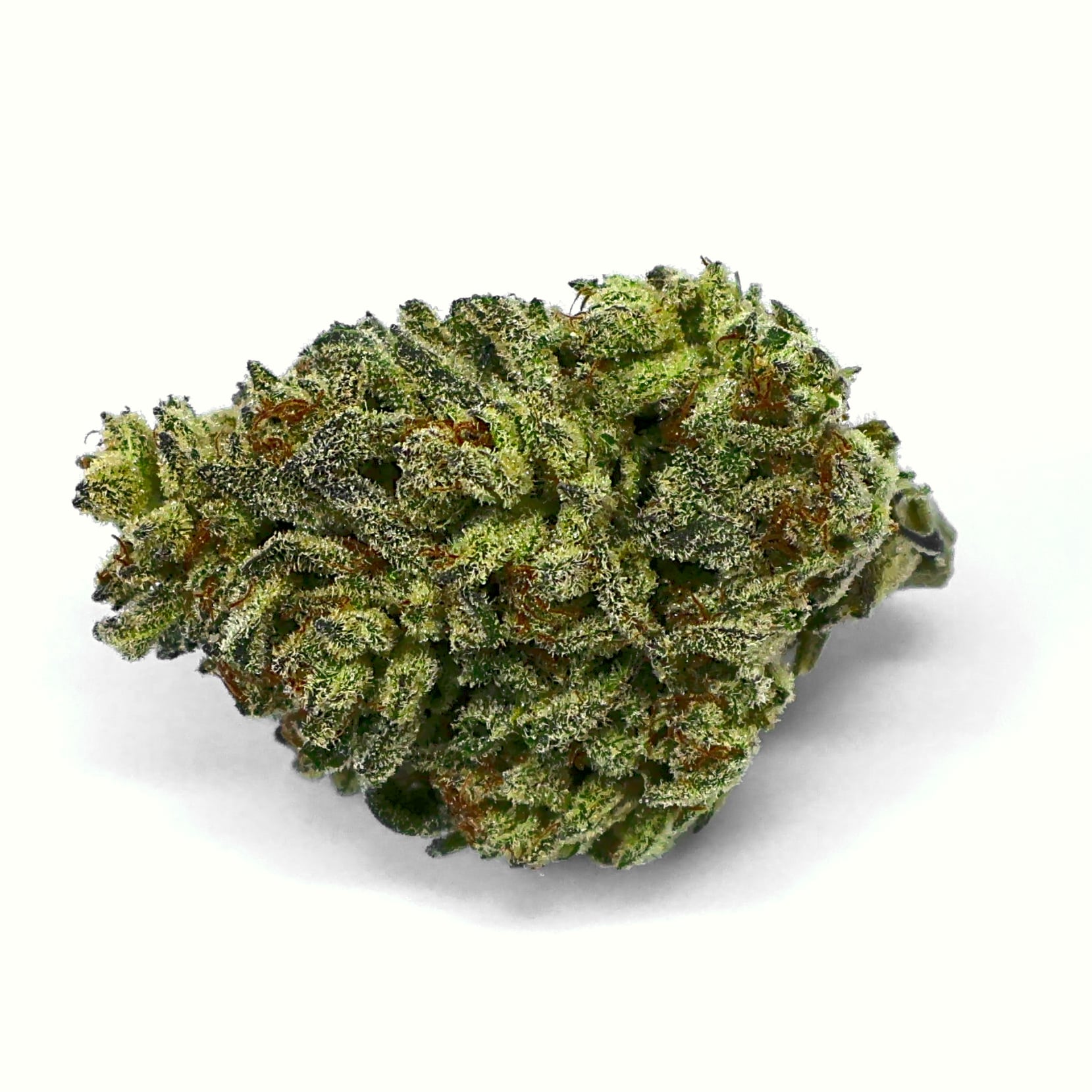 oreo blizzard THCa Flower