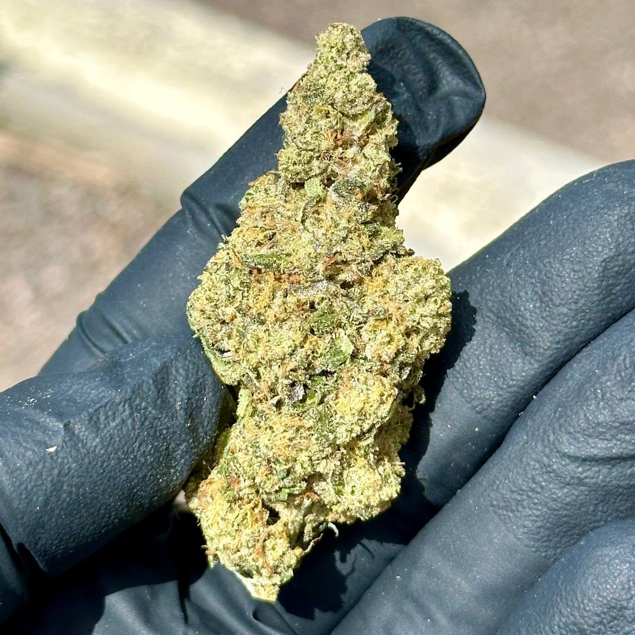 glitter bomb THCa Flower
