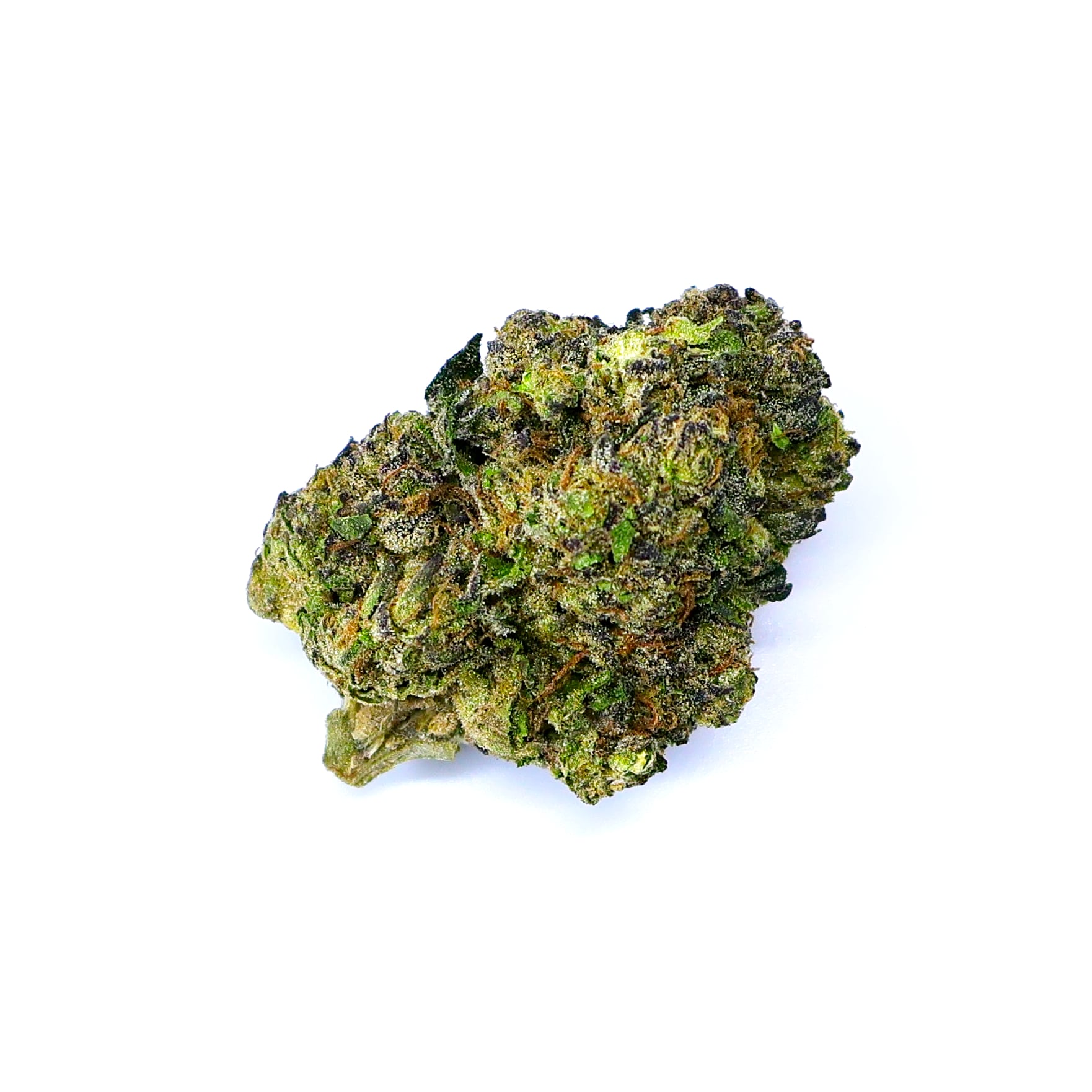 gush mintz THCa Flower