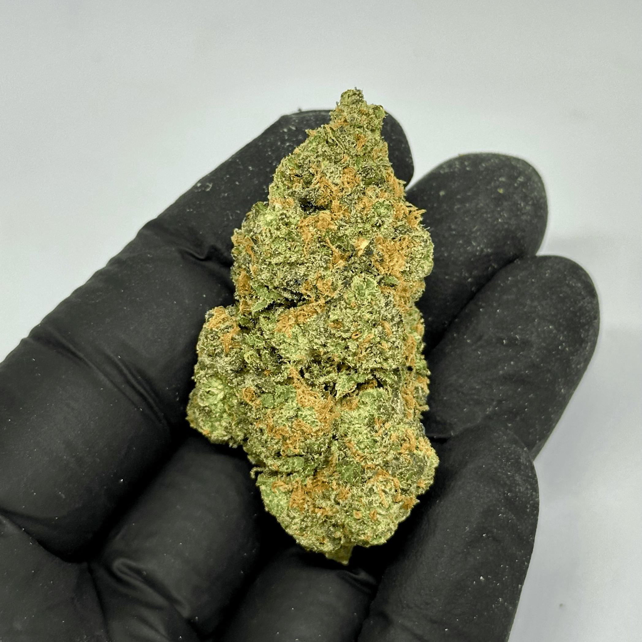 zangria sherb THCa Flower