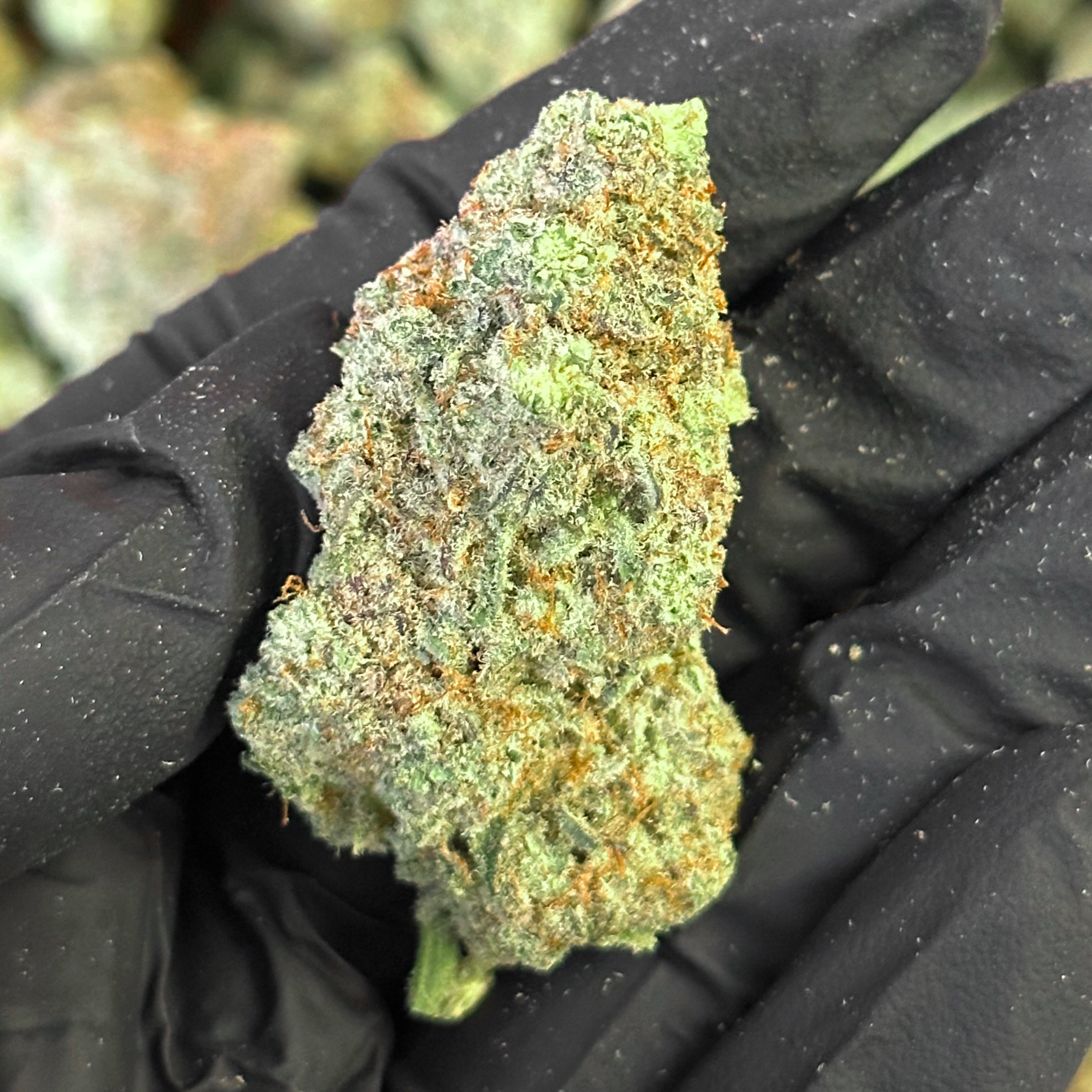 banana punch THCa Flower