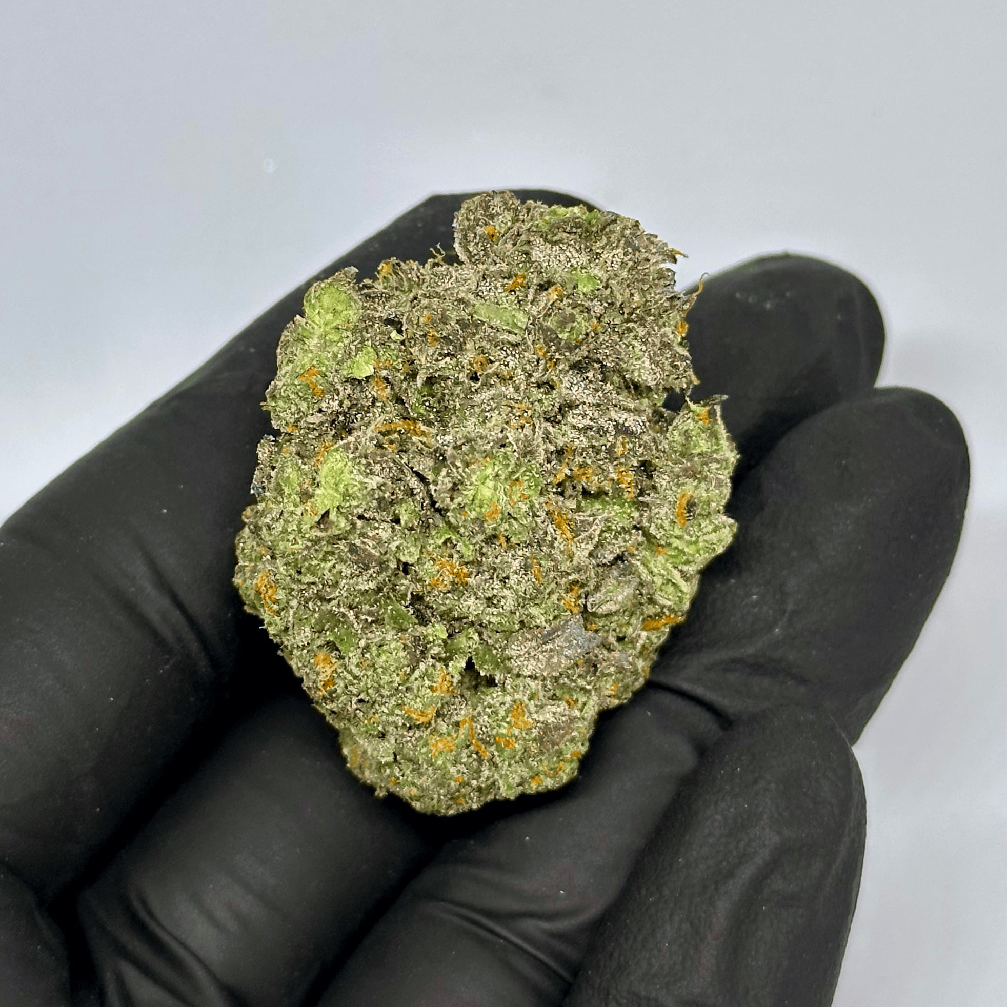 cinnamon milk THCa Flower