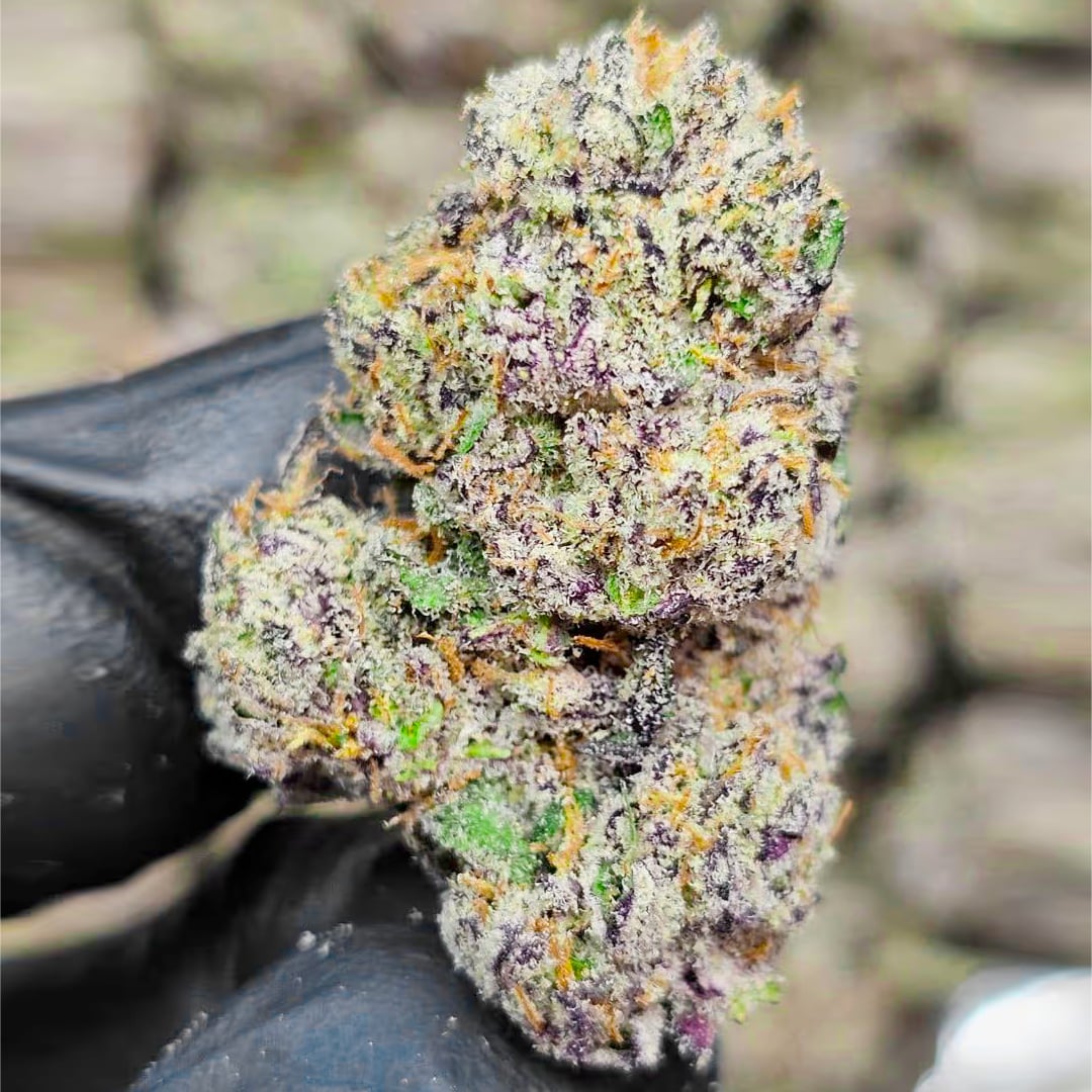 purple gushers THCa Flower