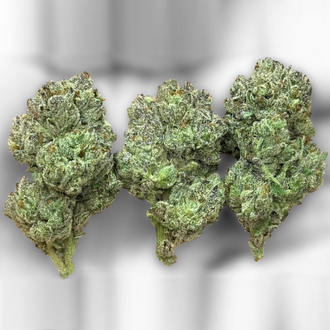 platinum lemon gushers THCa Flower