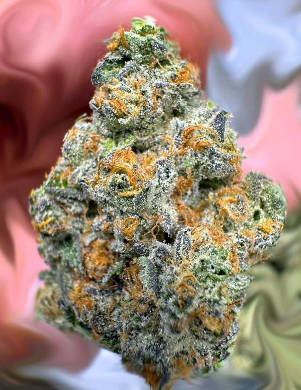 guava cookies THCa Flower