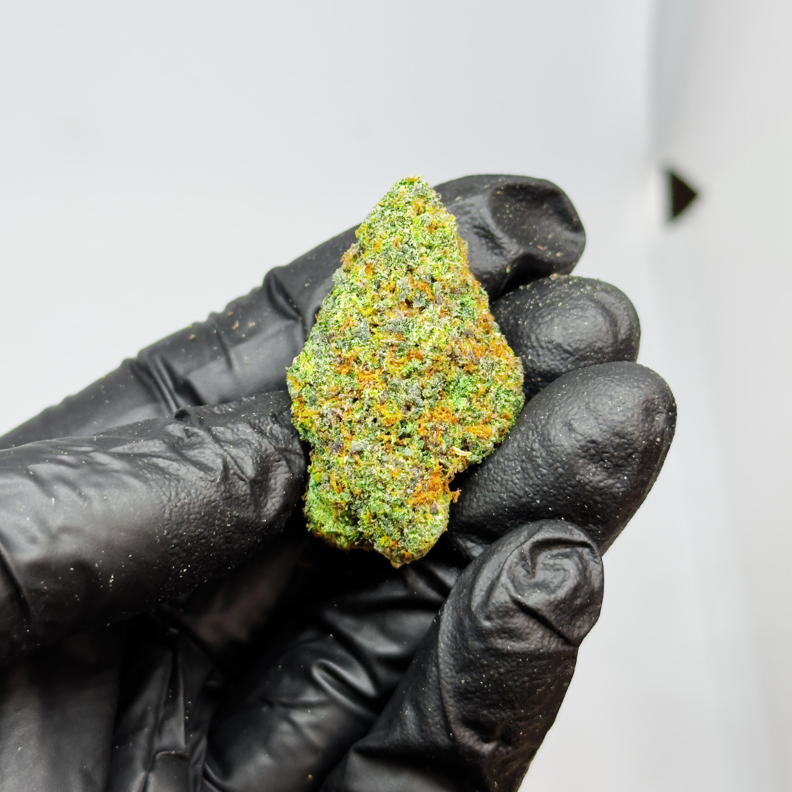 blackberry gushers THCa Flower