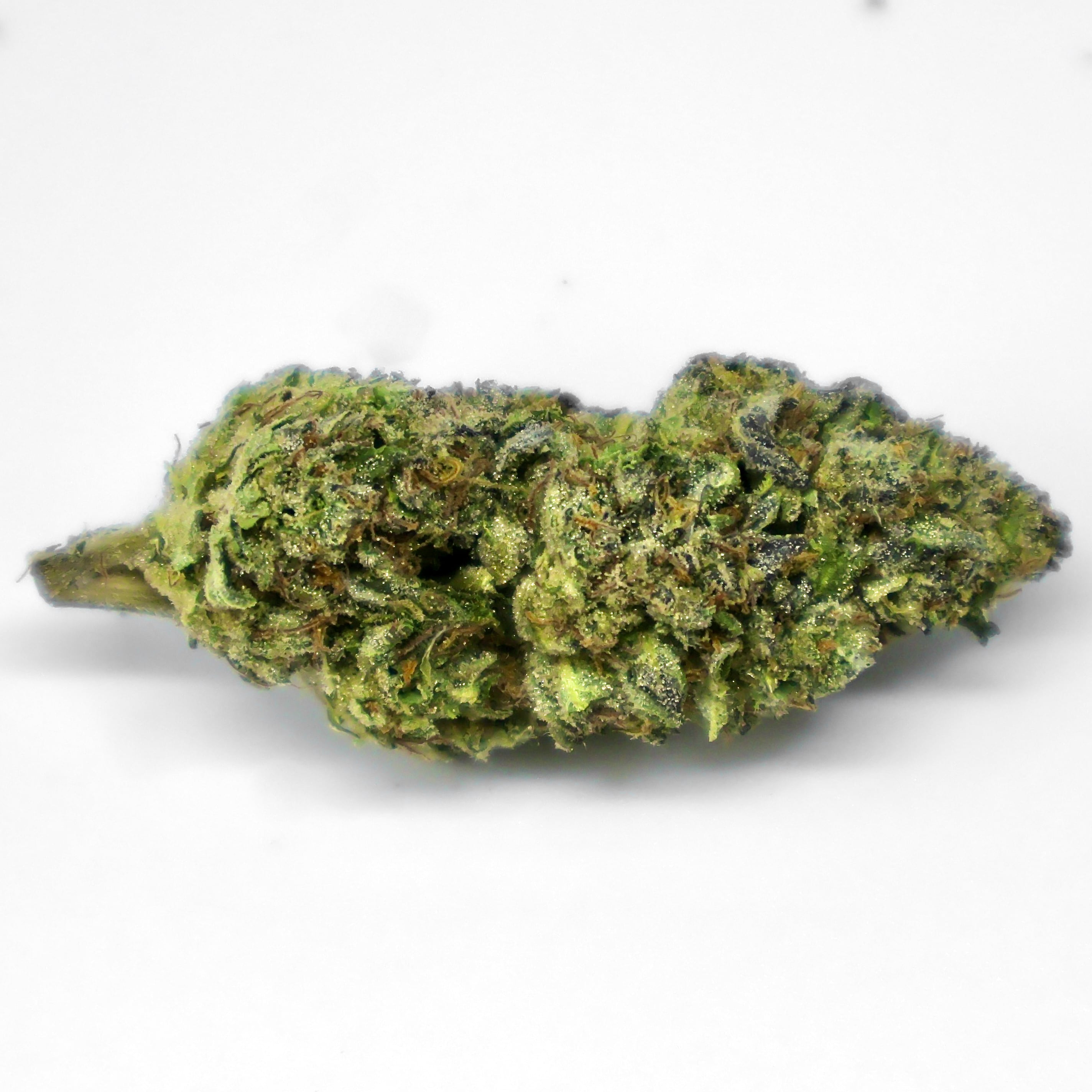 gmo oil THCa Flower